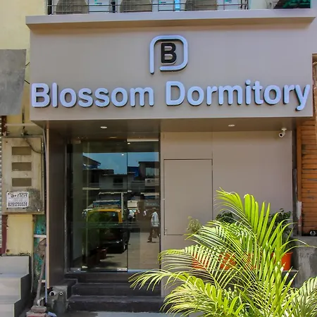 Blossom Dormitory For Male And Female-3